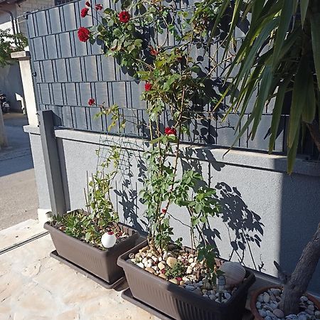 Apartament Apartman Lara Zadar Zewnętrze zdjęcie