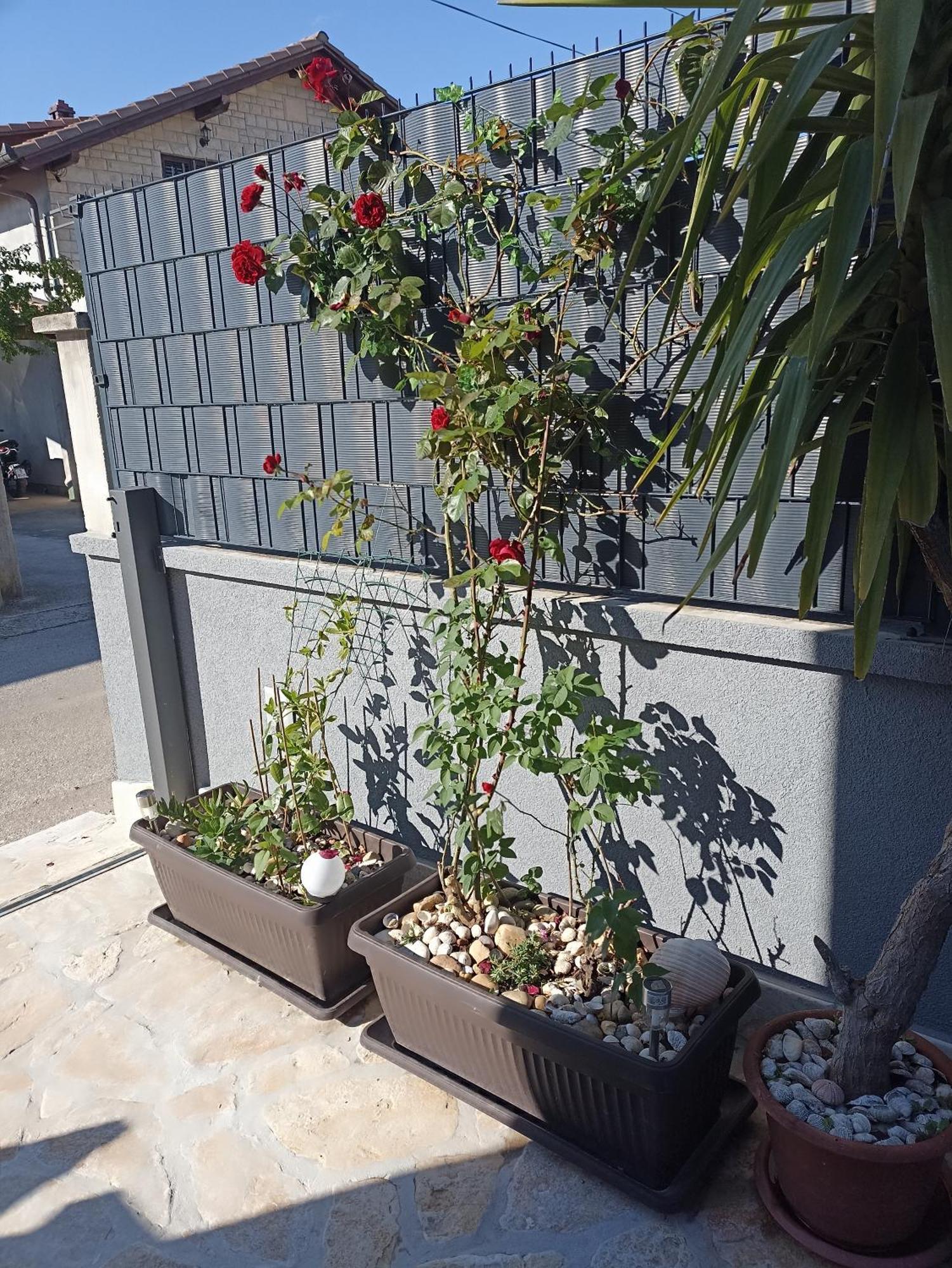 Apartament Apartman Lara Zadar Zewnętrze zdjęcie